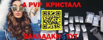 индика Ставрополь