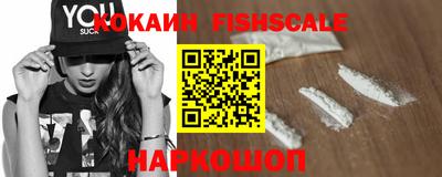крисы Сланцы