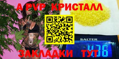 индика Ставрополь